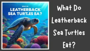 What Do Leatherback Sea Turtles Eat