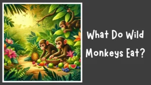 What Do Wild Monkeys Eat
