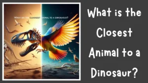 What is the Closest Animal to a Dinosaur